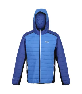 Doudoune matelassée trutton homme bleu foncé / bleu roi Regatta