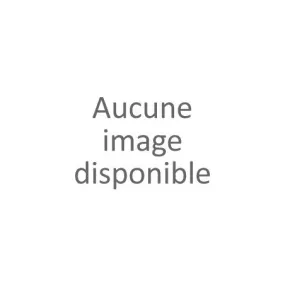Sac bandoulière uni femme